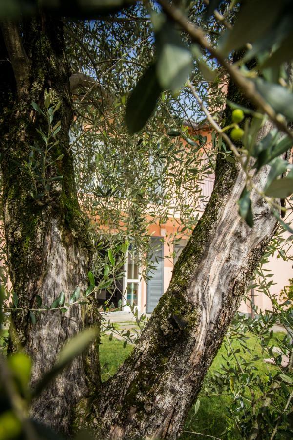 Maison Casa Lavanda Bellagio Buitenkant foto